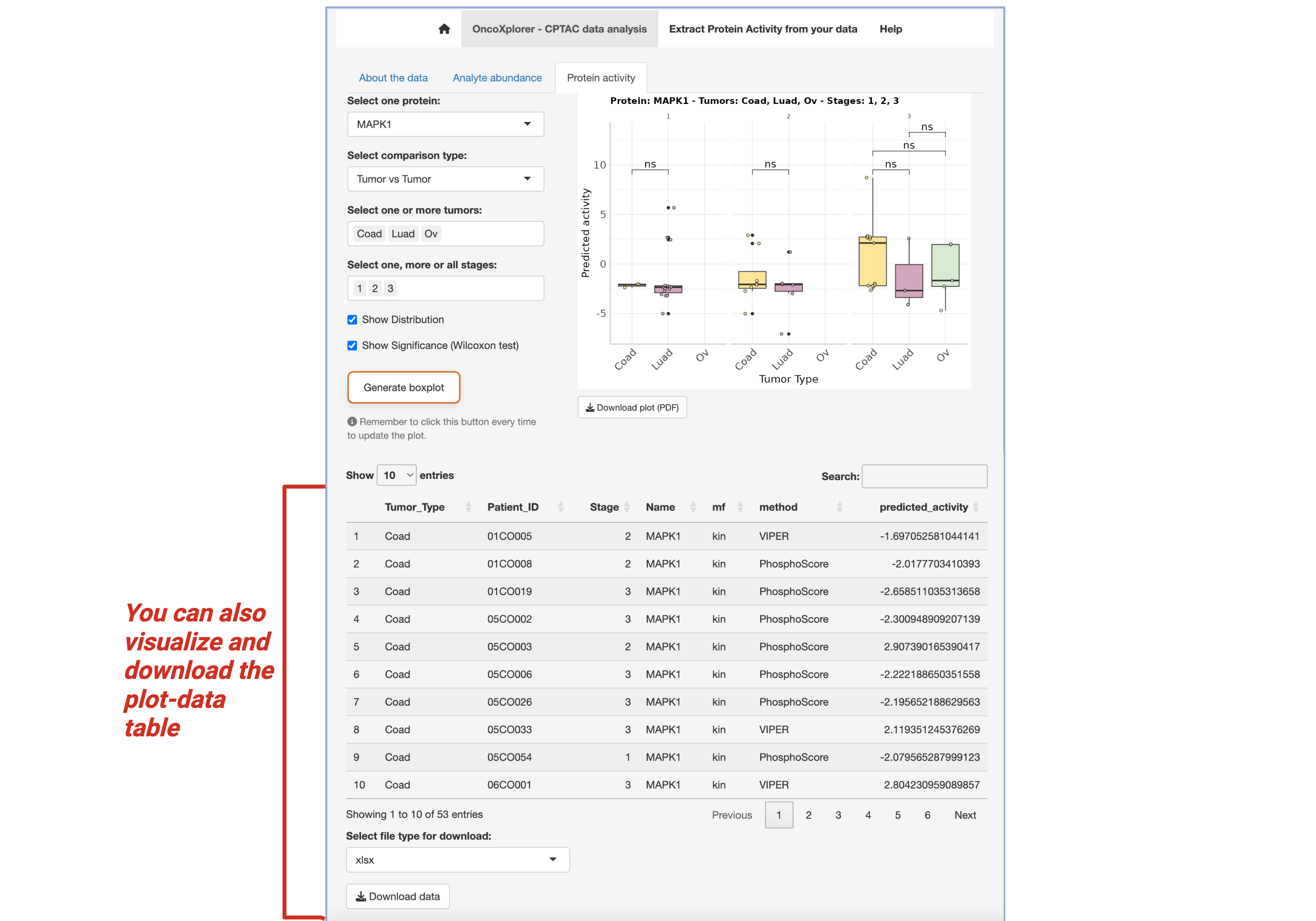 Protein Activity Analysis